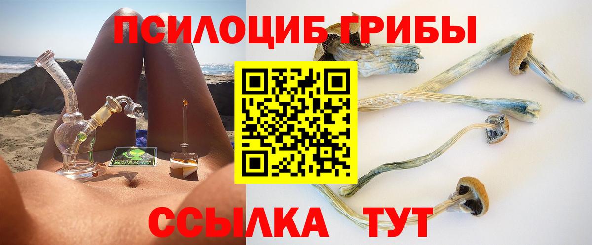 Псилоцибиновые грибы Cubensis Мытищи