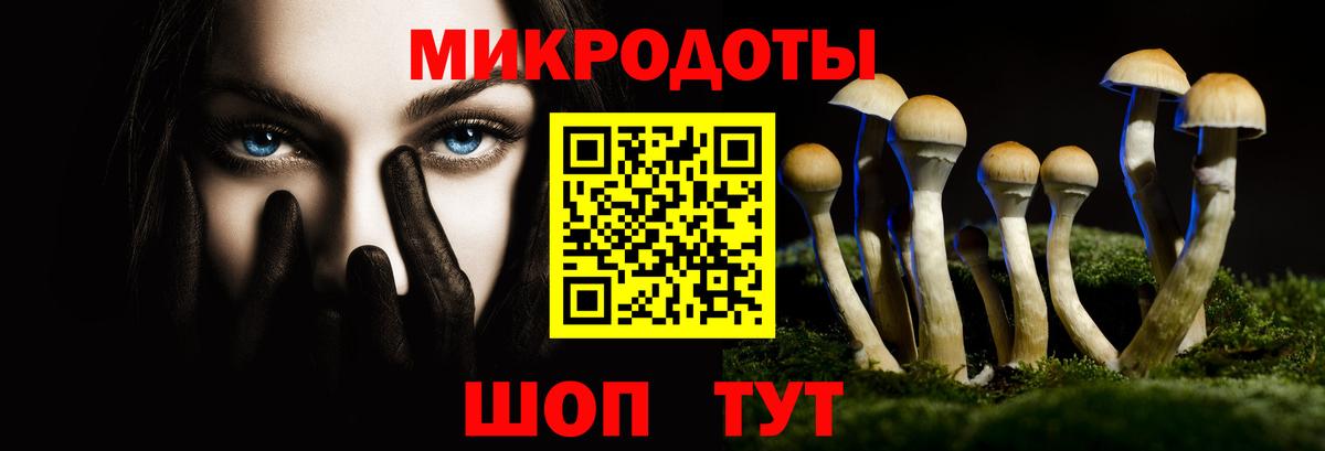 Псилоцибиновые грибы мицелий  продажа наркотиков  Мытищи  Вход с VPN  Псилоцибиновые грибы ЛСД 